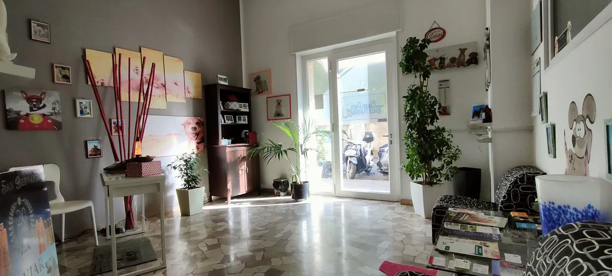 BORGO VENEZIA