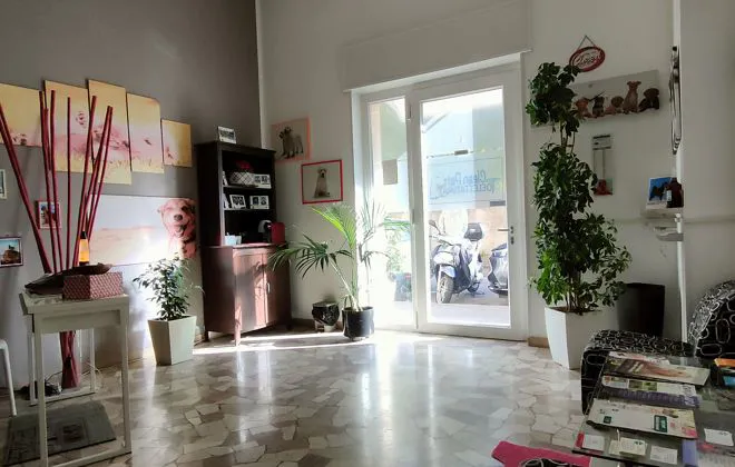 BORGO VENEZIA