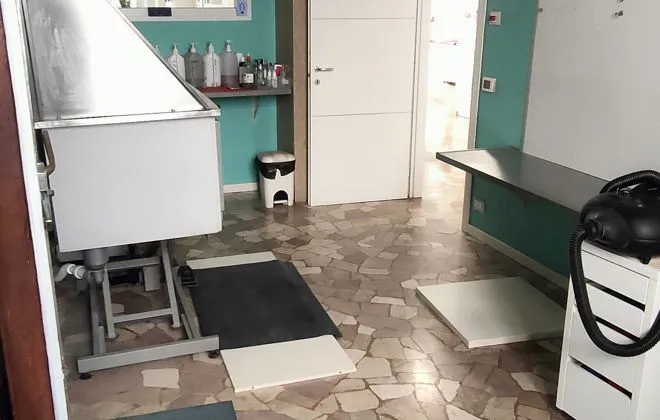 Interno