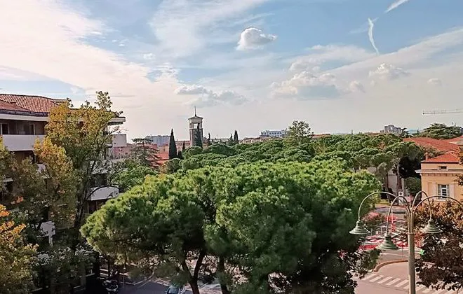 Appartamento in affitto - BORGO TRENTO - foto 17