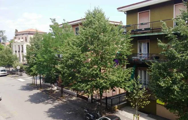 Altro Stanza in affitto - BORGO VENEZIA - foto 15