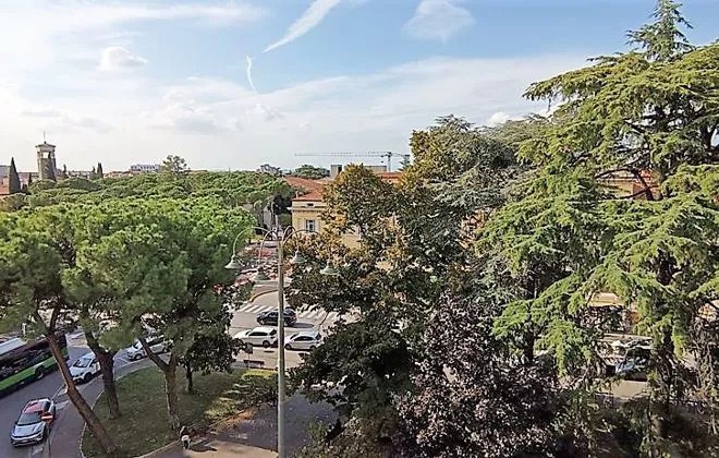 Appartamento in affitto - BORGO TRENTO - foto 16