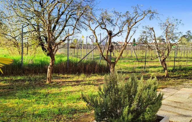 Appartamento in vendita - San Bonifacio - foto 11