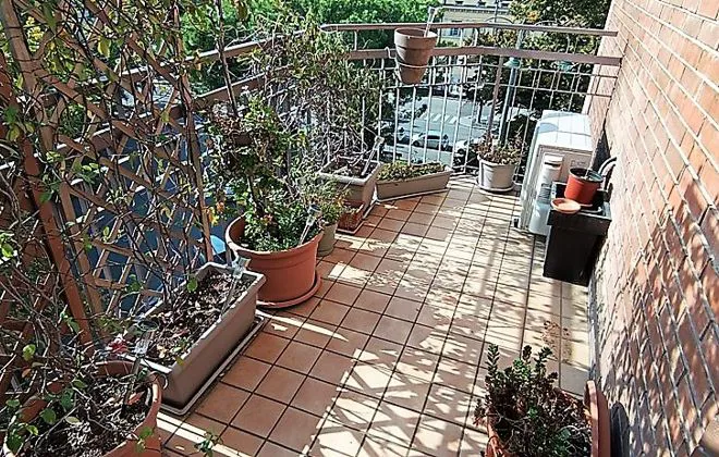 Appartamento in affitto - BORGO TRENTO - foto 14